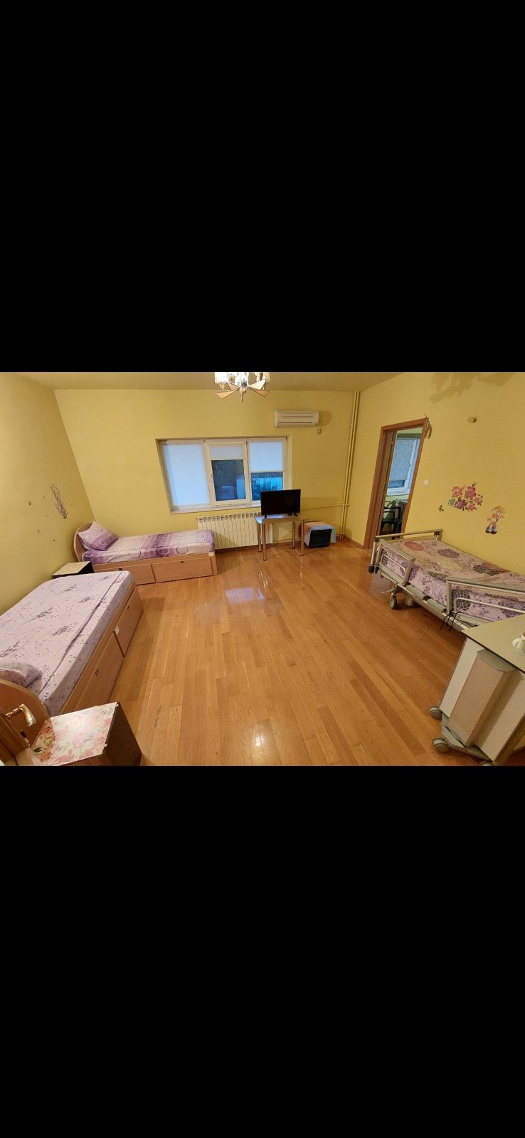 Grădină amenajată